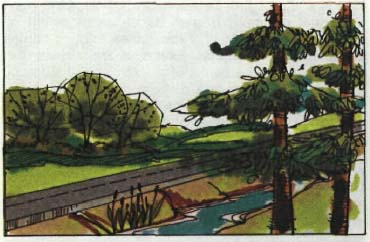drawing of a two lane road with trees