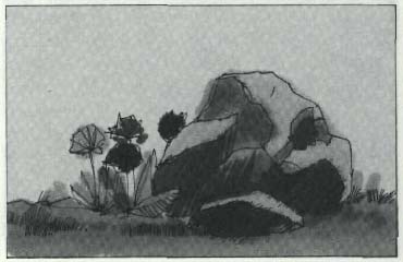 drawing of a rock and flowers
