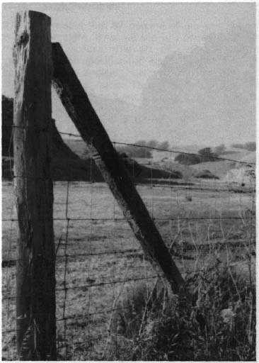 photo of a wire mesh fence with wooden posts