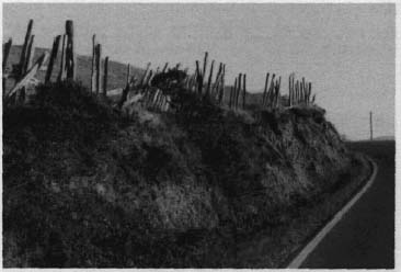 photo of a rural road