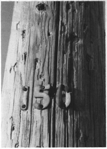 photo of a wooden post with the number 150 nailed to the surface