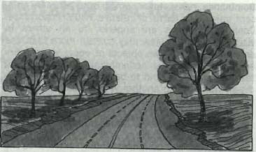drawing of a four lane road with trees