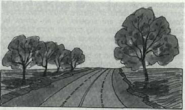 drawing of a four lane road with trees