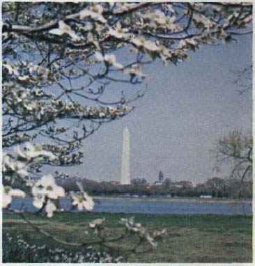 photo of Washington, DC cherry blossoms, the Potomac River, and the Washington Monument