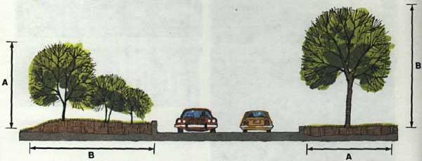 drawing of two cars on a tree lined road