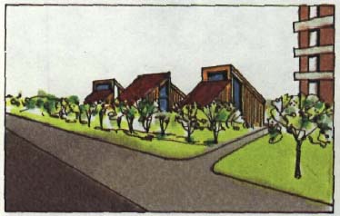 drawing of a tree lined road with buildings