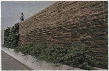 Planting pockets created by jogging a wall. They are also used as transition points for textural change.