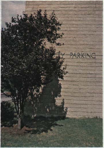 A tree used to soften the hard edge of a wall reduce the dominance of this wall.