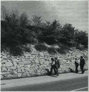 photo of four people walking along the side of a road by a stone wall with shrubs
