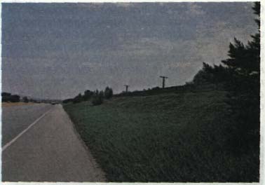 Plantings on a berm, used to open and enclose the visual space along a highway and help create a pleasurable sequential experience for the motorist