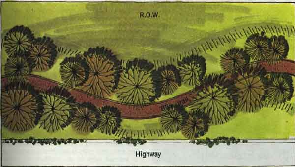 drawing of a highway and trees