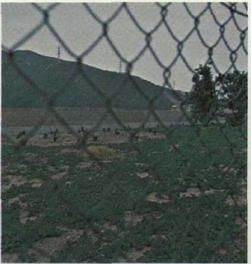 photo of a chain link fence
