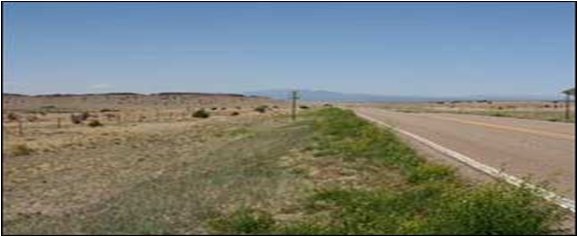 Image of the kind of native vegetation growing in the ROW that NMDOT will be quantifying to determine the amount of greenhouse gas produced in the largest volume by human activities that can be sequestered.