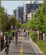 Bicyclists riding on a tree lined street.