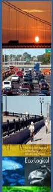 STEP logo banner: sunset, congestion, a bridge, Ecological cover page
