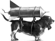 photo of a dog with a rocket strapped to its back