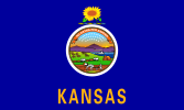 Kansas state flag