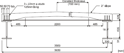 Diagram showing a typical cross section of an arched panel on steel support beams.