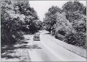 Photo: Skyline Drive in the Shenandoah National Park