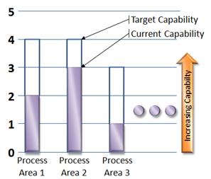 This is a bar chart with a bar for each process area that you are addressing.  Each bar has two parts: 1) it shows the current capabilikty level and 2) the target capability level.