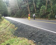 road workers assessing an area for repair