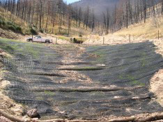 road embankment in a burned area