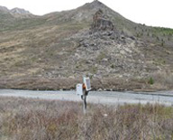 Mailbox along a desolate road