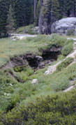 Roadway embankment barrier interrupting historic flow patterns along Generals Highway in California's Sierra Nevada Mountains.