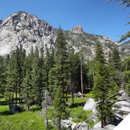 Roadway embankment barrier interrupting historic flow patterns along Generals Highway in California's Sierra Nevada Mountains.