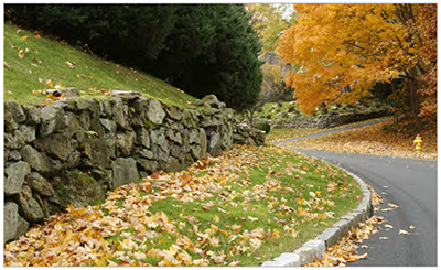 Figure 3-12: Retaining wall enhancing surrounding 
        environment