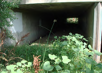 Figure 3-15: Large culvert following major storm event