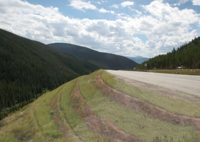 Figure 3-19: Micro-terraces (right) Micro-terraces replicate the natural environment to soften the roadway slope, promote infiltration and reduce run-off erosion.