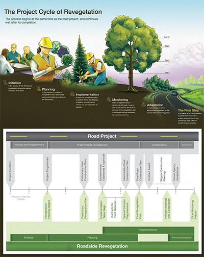 Figure 3-22: Project  cycle of revegetation