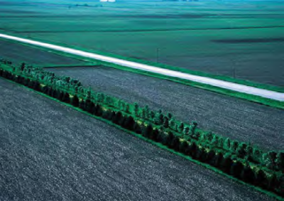 Figure 3-9: Snow fence treatments