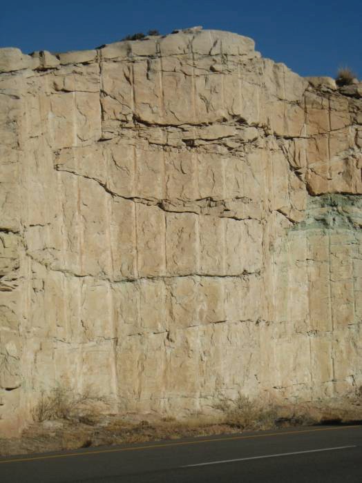 Photo. Example of a presplit slope in massive sandstone. Note the abundant drill hole traces (half casts).