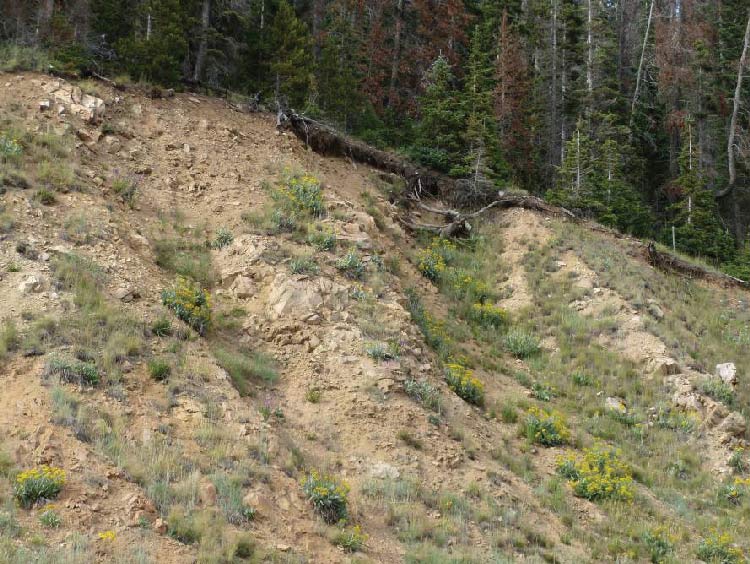Photo. Expanded slope rounding can prevent this type of erosion and overhang.