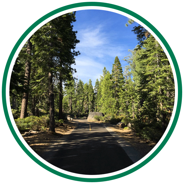 Road through forest.