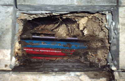 This picture shows an above ground look at subsurface utilities that have been exposed in a test hole using vacuum excavation.