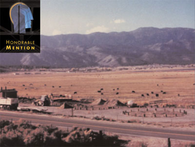 Category 4: Environmental Protection and Enhancements Honorable Mention, image of project Washoe Lake Wetland Mitigation Site, Washoe City, Nevada