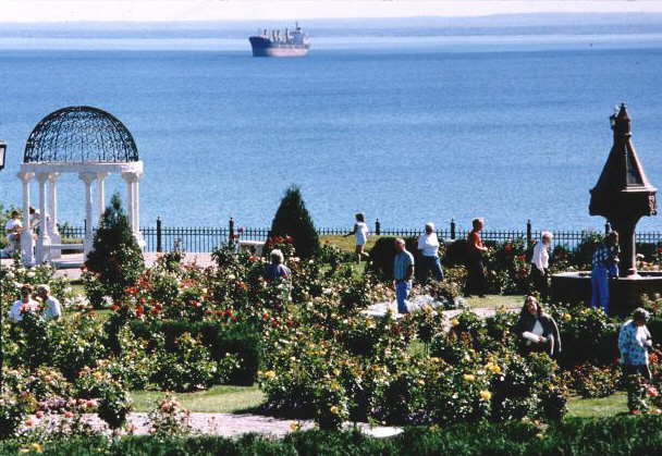 Photo: Leif Ericson Park Rose Garden