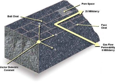 Anisotropic gas flow permeability and dielectric (sigma) constant of coal