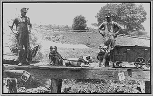 Cover Photo: Three coal-mine dogs hitched in tandem at an underground mine in Muskingum County. Ohio Division of Geological Survey file photo by State Geologist Wilbur Stout in 1917.