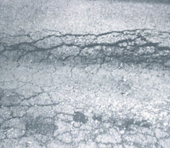 Photo of close up view of excessive rutting type of geotechnical related pavement failure