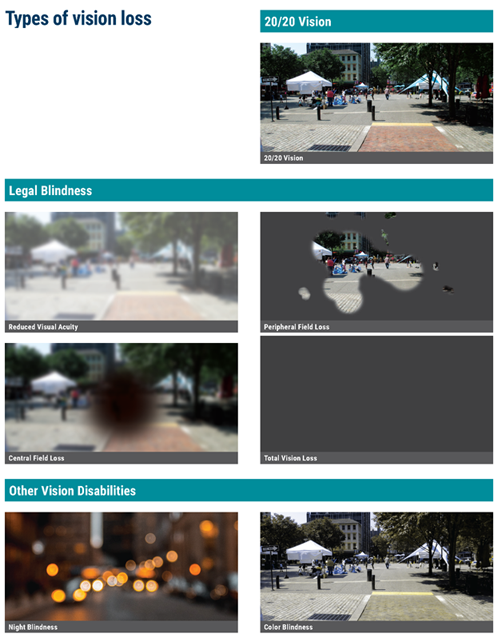 Series of images intended to demonstrate the range of vision disabilities. The top row includes an image of a shared street as seen by an indiviual with 20/20 vision. The next three rows show the same image of a shared street as seen by individuals with different types of legal blindness, including reduced visual accuity, peripheral field loss, central field loss, and total vision loss. The bottom row of images demonstrate other types of vision disabilities, including night blindness and color blindness.