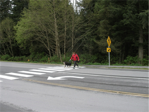 Image is of a pedestrian negotiating a crosswalk on an un divided highway.