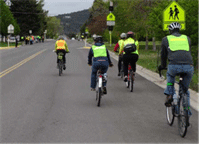Image is of bicyclists in a roadway traffic lane.