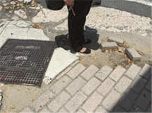 Image shows a crumbled brick sidewalk.