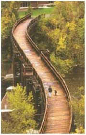 Photo of 'S' shaped bridge bridge.