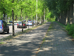 Photo of bicycle facility next to roadway.