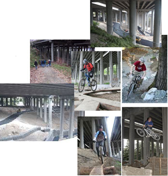 Collage of photos of bikers enjoying a freeride trail.
